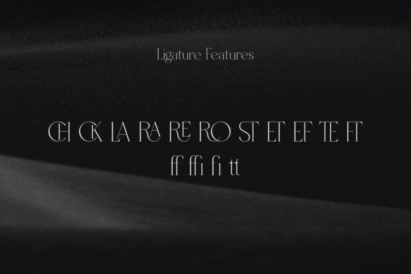 Borcha Font - Preview 3