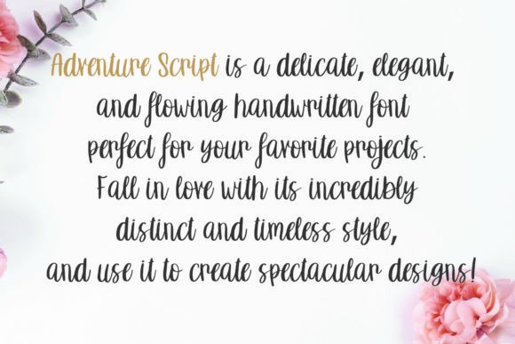 Adventure Script Font - Preview 4