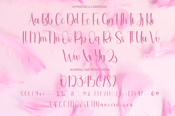 Amirese Font - Preview 6
