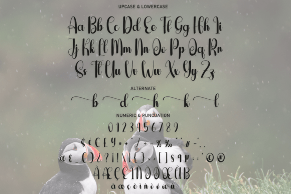 Animals Font - Preview 5