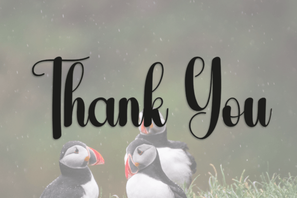Animals Font - Preview 6