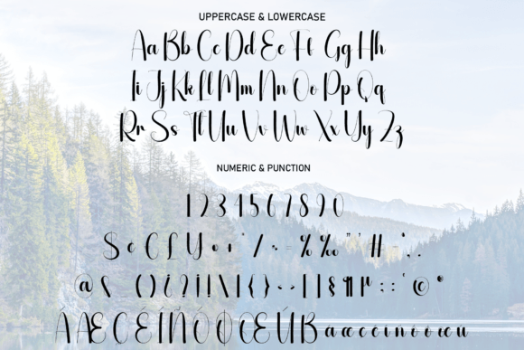 Beautiful Font - Preview 4