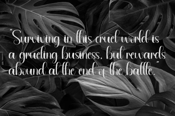 Berlina Font - Preview 4