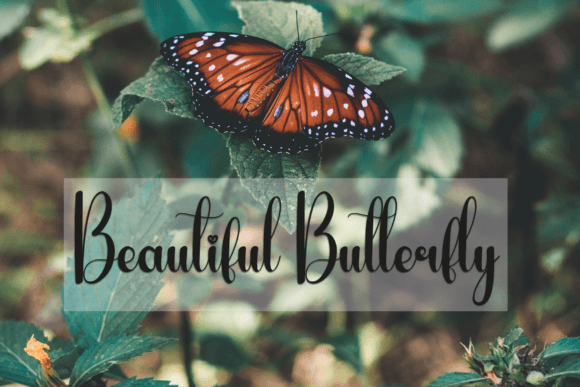 Dragonfly Font - Preview 2