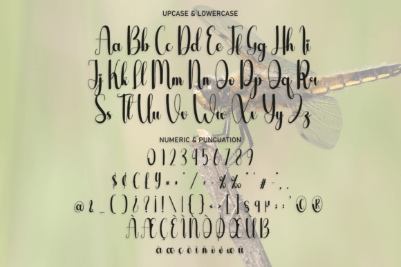 Dragonfly Font - Preview 6
