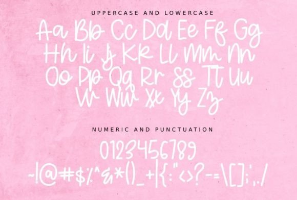 Farmhouse Display Font - Preview 2