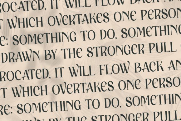 Hafigde Font - Preview 5