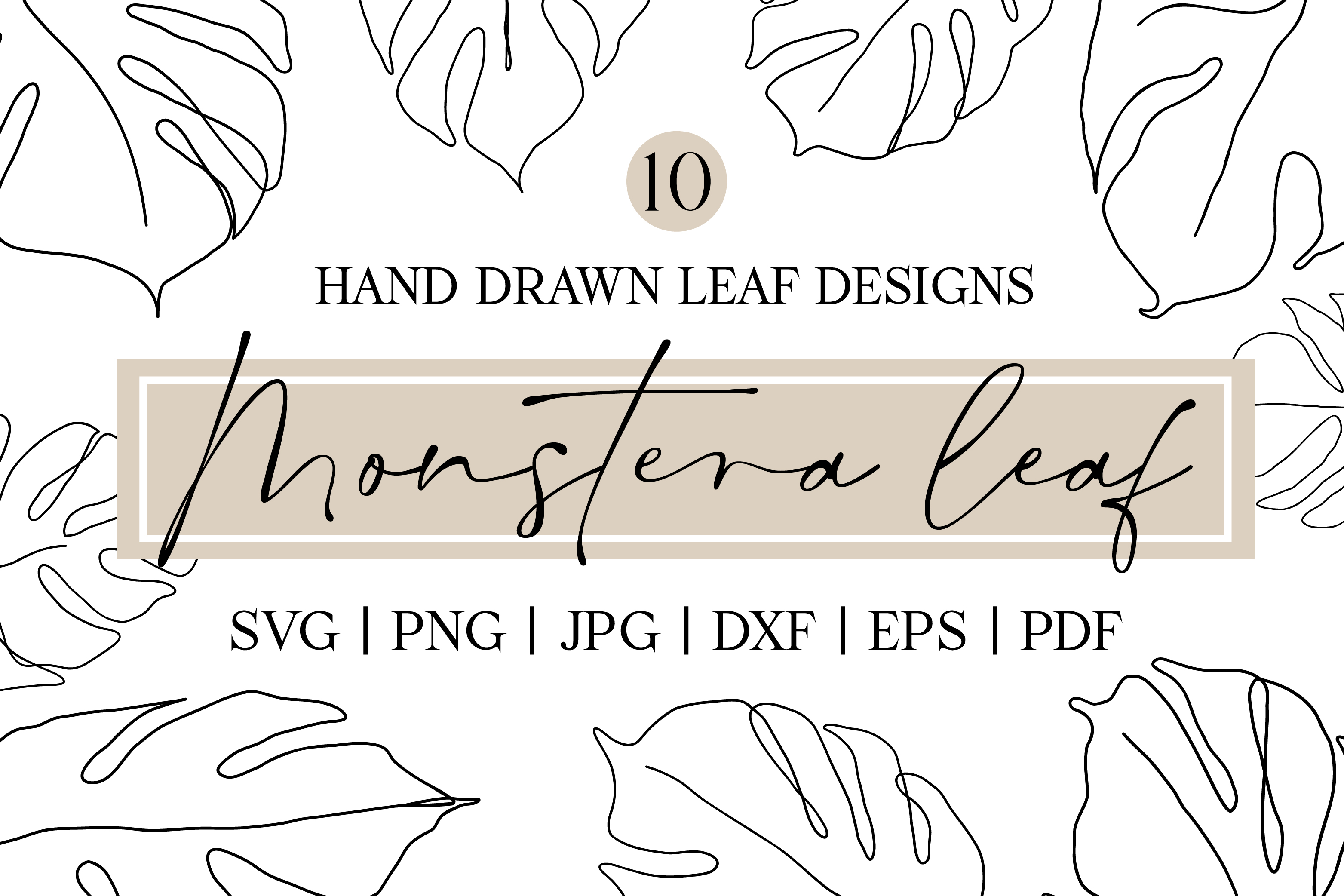 Monstera Line Art SVG | Botanical SVG Graphic by RachelFredericksCreative   Creative Fabrica