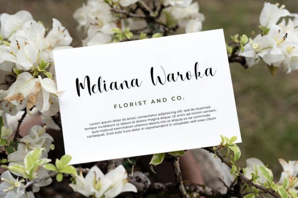 Opheliane Font PNG with transparent background - Preview 3