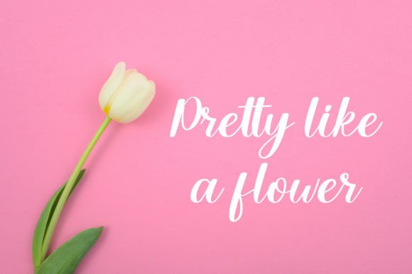 Pastel Font PNG with transparent background - Preview 4