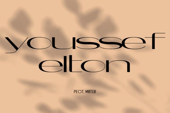 Doblier Font - Preview 4