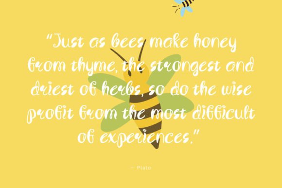 Aqua Honey Font - Preview 3