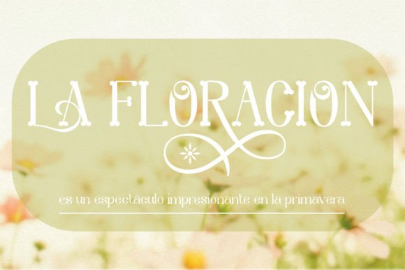 Brugmansia Font - Preview 2
