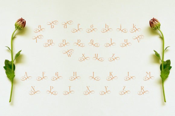 Brugmansia Font - Preview 5