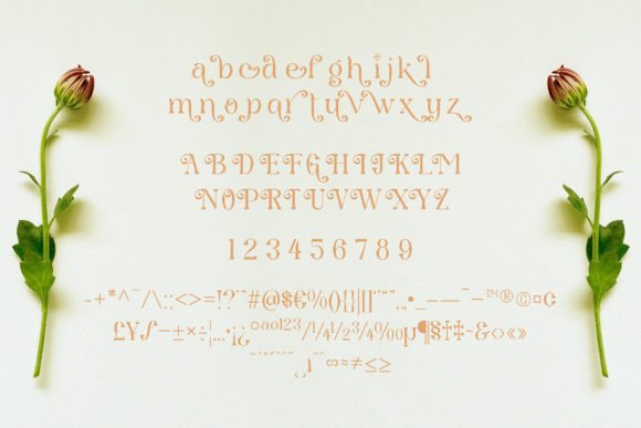 Brugmansia Font - Preview 6
