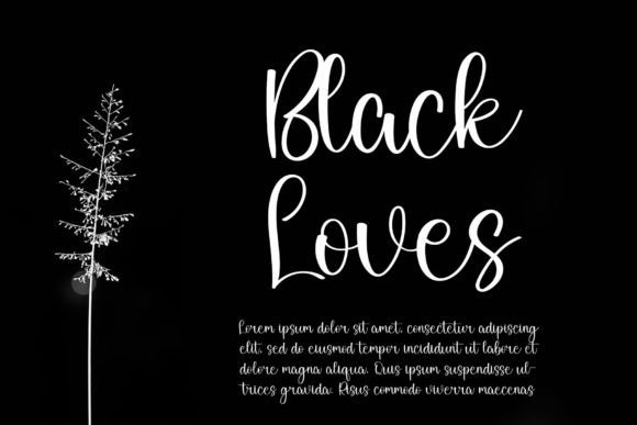 Cools Font - Preview 2