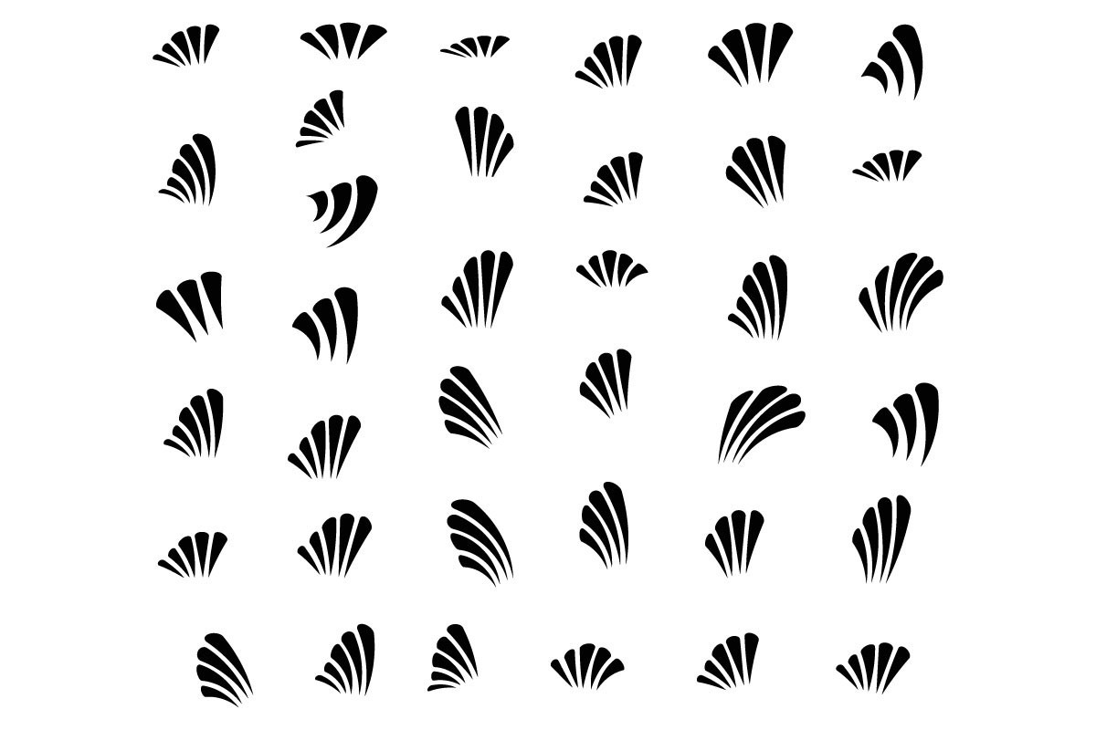 Doodle Accent Flourish Design Elements
