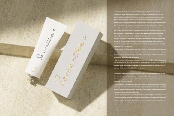 Signotera Brush Font PNG with transparent background - Preview 2