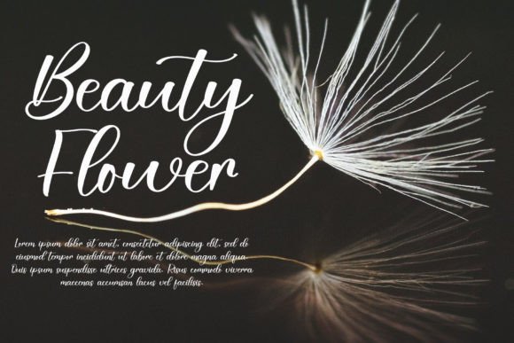 Aesthetic Font - Preview 2