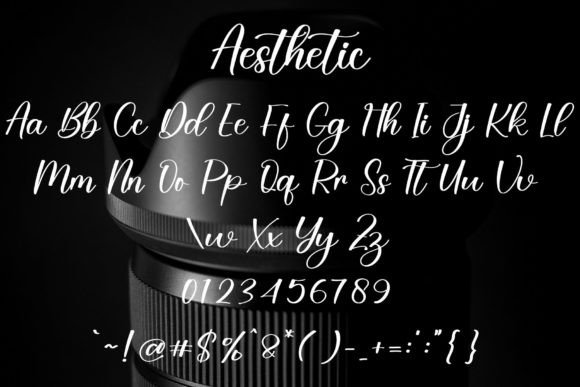 Aesthetic Font - Preview 3