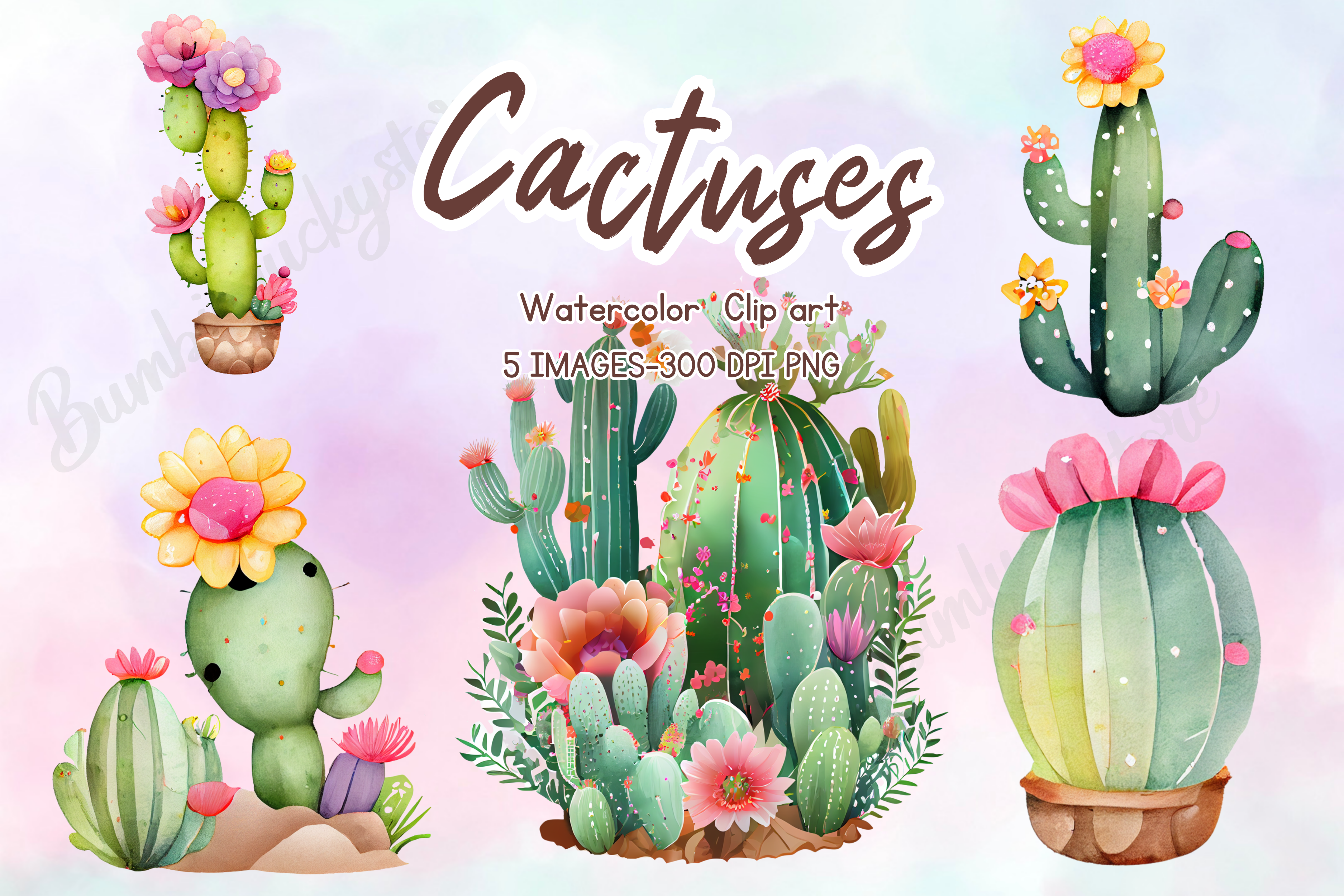 Watercolor Cactus Clipart Graphic by Bumbimluckystore  Creative Fabrica