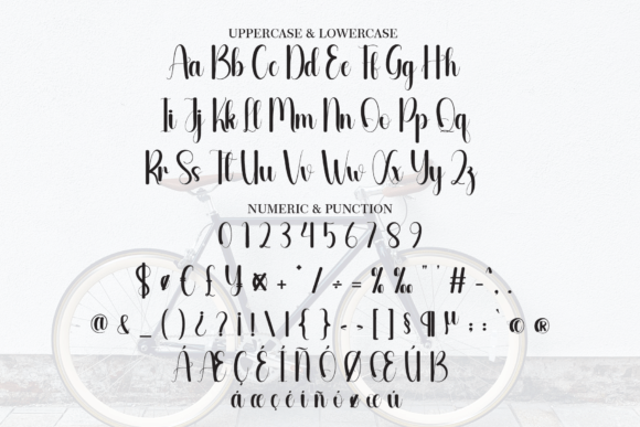 Bicycle Font - Preview 6