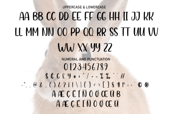 Bunny Font - Preview 6