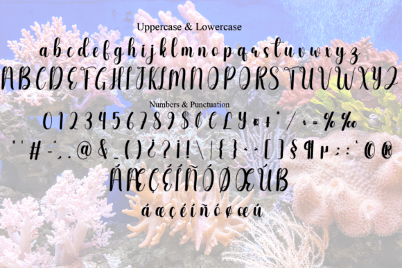 Coral Reefs Font PNG with transparent background - Preview 5
