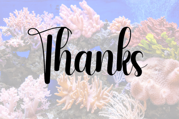 Coral Reefs Font PNG with transparent background - Preview 6