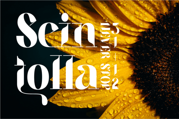 Acedian Font - Preview 3