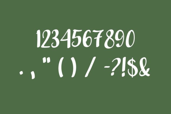 Amelia Font - Preview 4