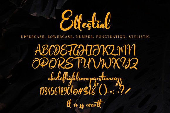 Ellestial Font - Preview 6