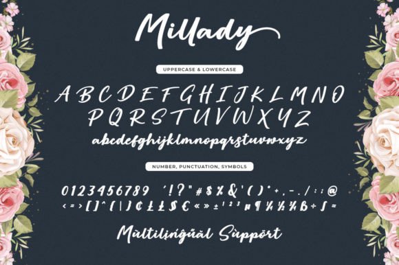 Millady Script Font PNG with transparent background - Preview 4