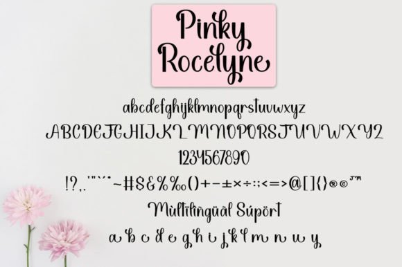 Pinky Rocelyne Font PNG with transparent background - Preview 6