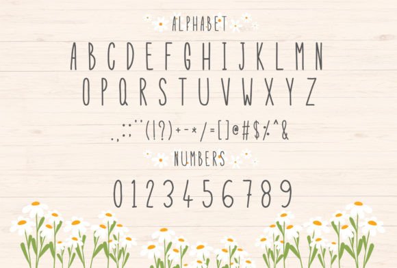 Daisy Flower Font - Preview 1