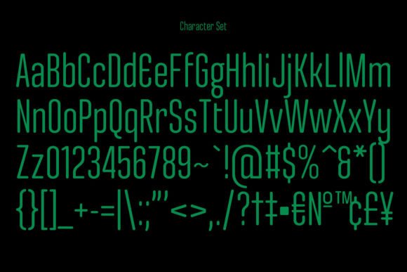 Ertige Font - Preview 5