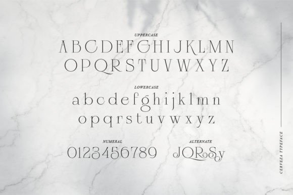 Cerveza Font - Preview 1