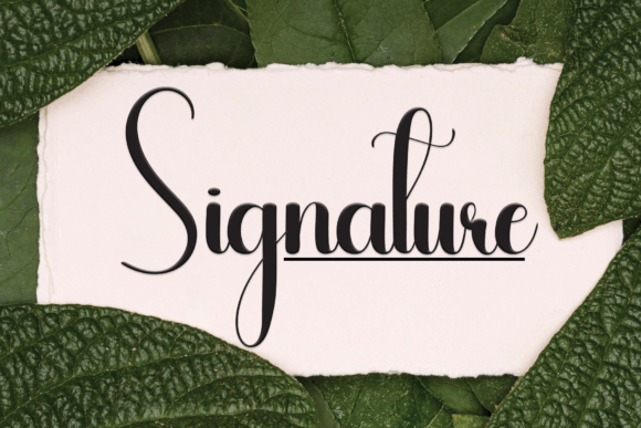 Handhome Font - Preview 4