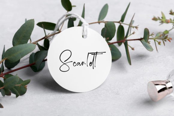 Script Land Font PNG with transparent background - Preview 2