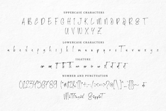 Script Land Font PNG with transparent background - Preview 6