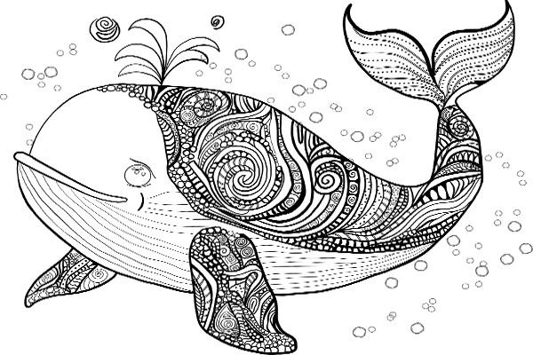 Zentangle Whale Coloring Page