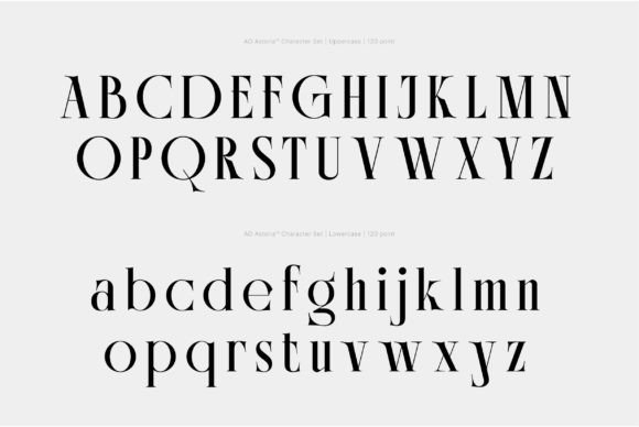 Ao Astoria Font - Preview 2