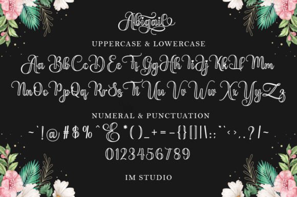 Abigail Outline Font - Preview 5