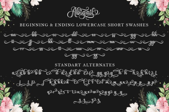 Abigail Outline Font - Preview 6