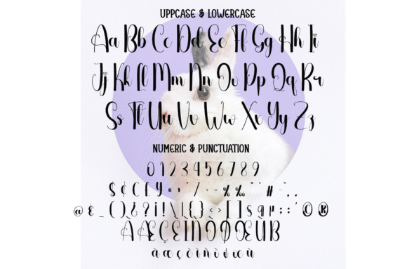 Bunny Font - Preview 6