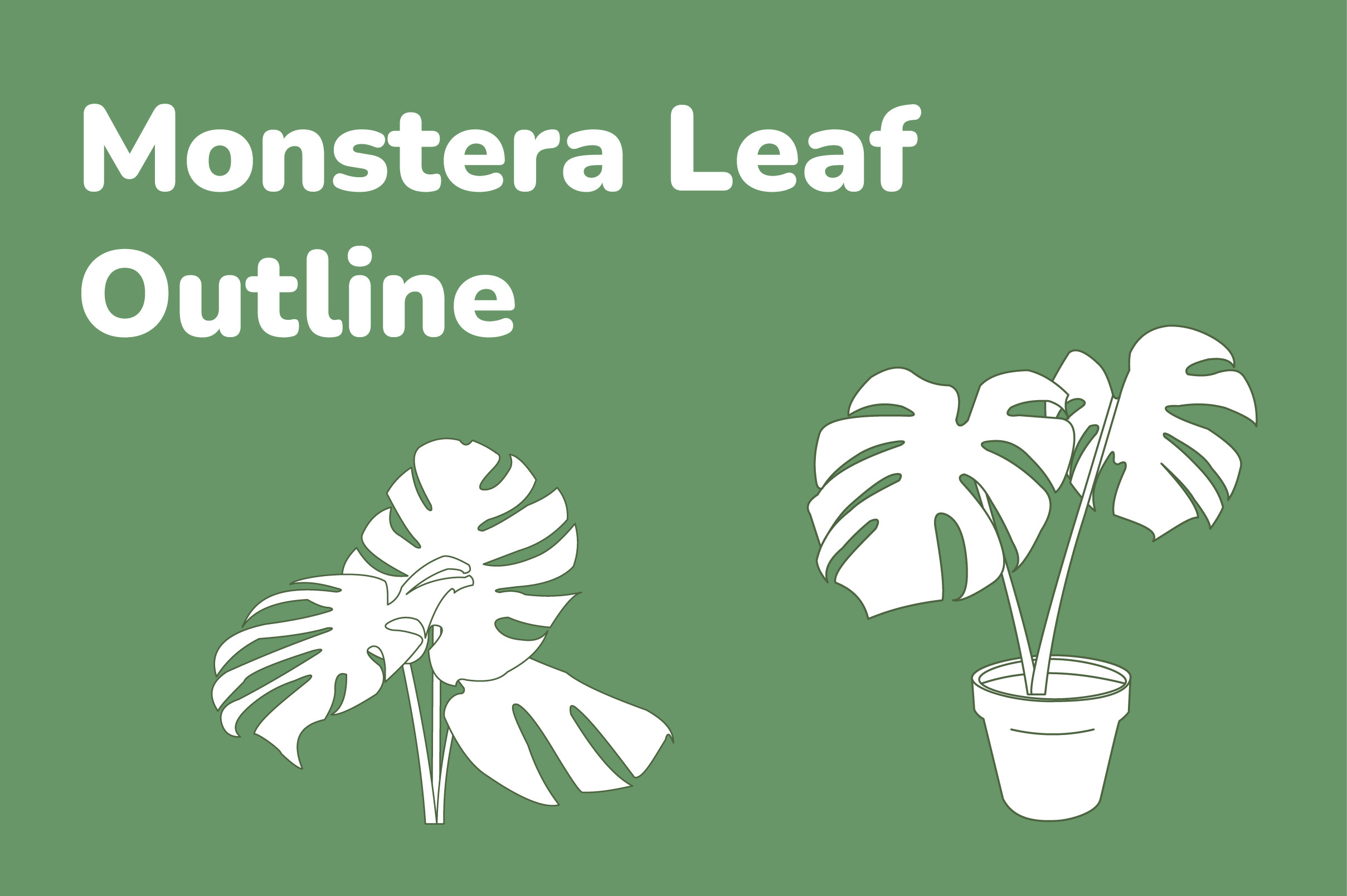 philodendron im freien Philodendron sharoniae Mosquera Variegata (1 Leaf Cutting) main image 1