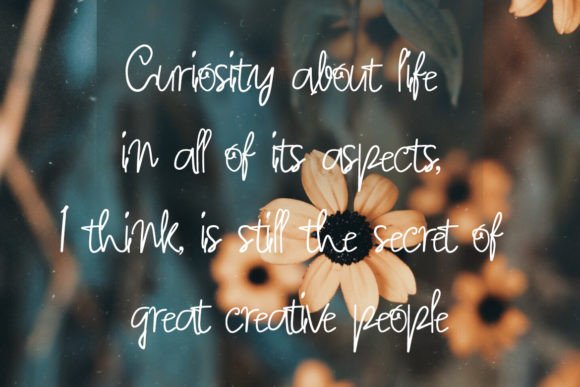 Betthamy Duffoe Font - Preview 1