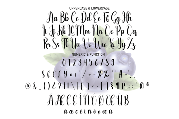 Blueberry Font - Preview 4