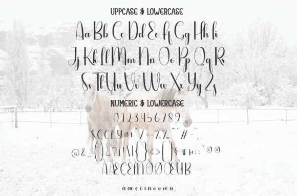 Ranch Font font preview - 6