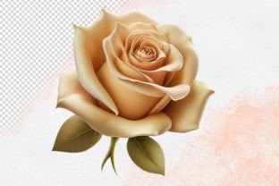 Vintage Roses Clipart Set PNG Graphic by craftsmaker · Creative Fabrica